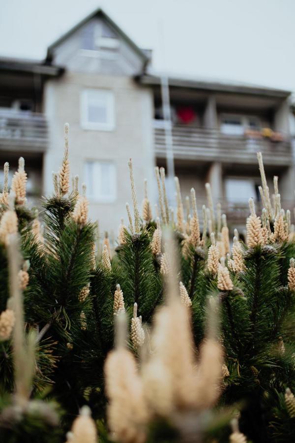 Ferienwohnung Lina Apartamenti Jurkalne Exterior foto